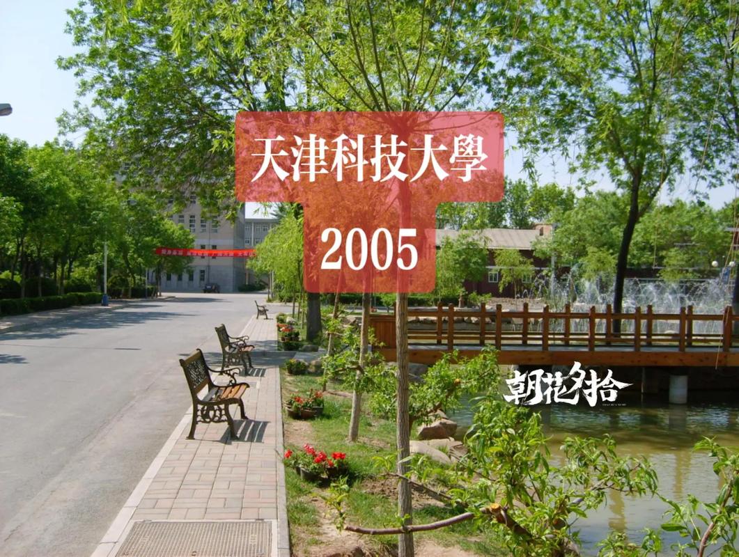 二十年前的天津科技大學(xué) 河西校區(qū)的那家餐廳，你吃過嗎？